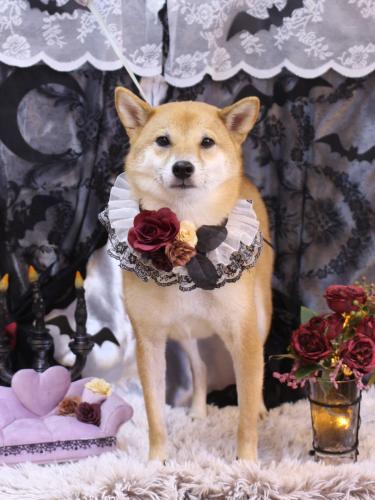 20231011シュウくん